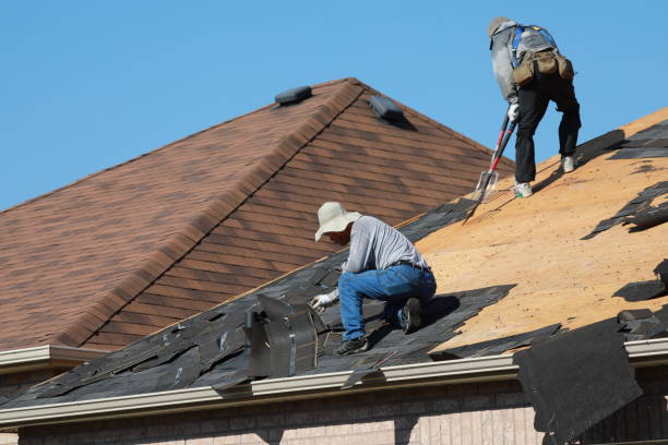 Best Roof Moss and Algae Removal  in Bloomsburg, PA